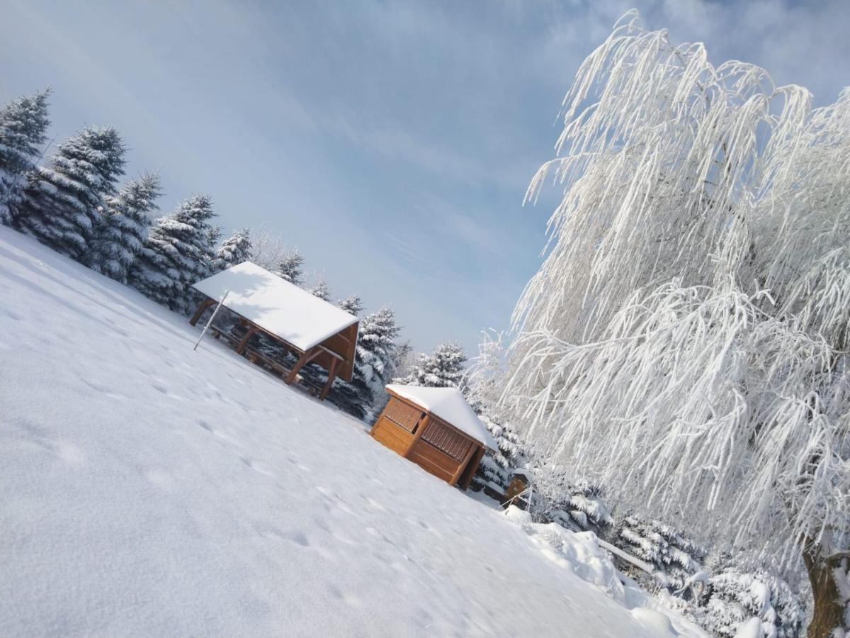 Agroturystyka Sajkiewicz Suchowola (Kielce) Exterior foto